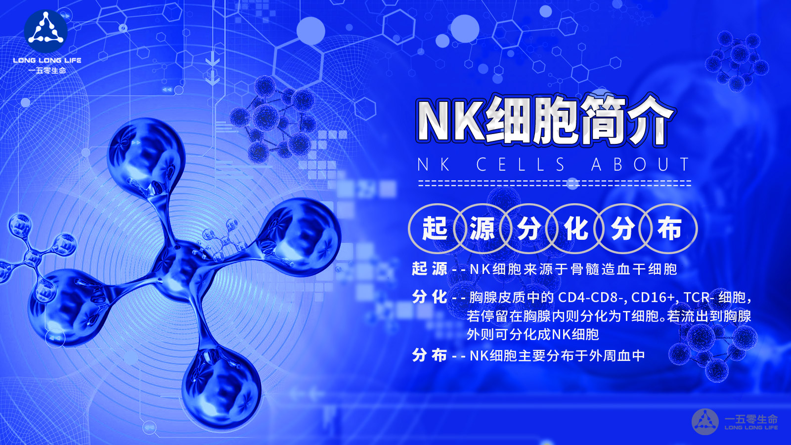 NK细胞免疫疗法