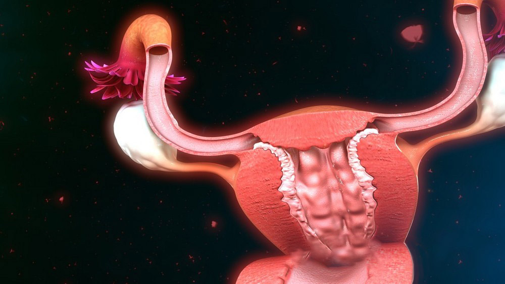 干细胞疗法对薄型子宫内膜的最新研究